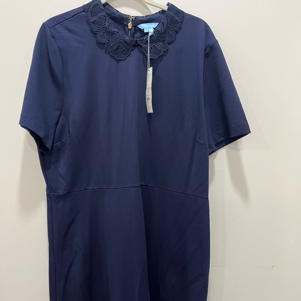 NWT navy blue dress with lace Peter Pan collar and gold zipper